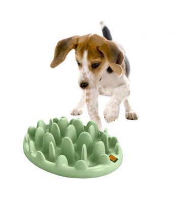 Northmate Interactive Feeder - Dog Lover Gifts