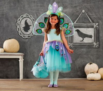 Fairy Kids Costume