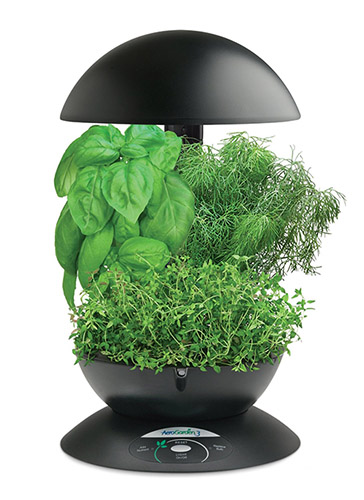 AeroGarden 3-Pod Indoor Garden with Gourmet Herb Seed Kit