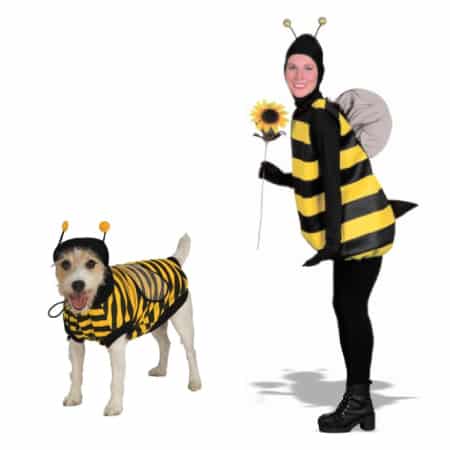 Halloween costumes for dogs and owner