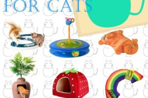 Best Gift Ideas for Cats