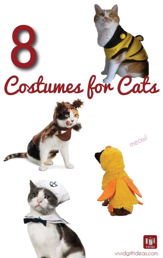 costumes for cats