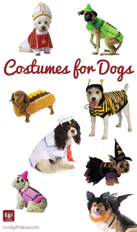 Halloween costumes for dogs