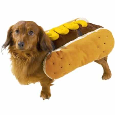 Mustard Hot Diggity Dog Pet Costume