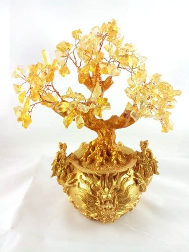 Chinese Feng Shui Money Tree in Dragon Pot