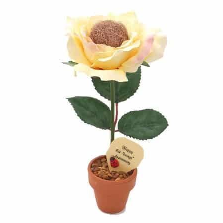 Potted Bronze Rose