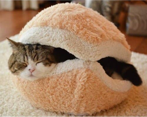 Hamburger Cat Bed House