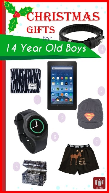 Christmas ideas for a 2024 14 year old boy