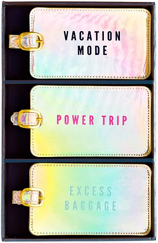 Iridescent Power Trip Luggage Tag Set by Eccolo World Traveler
