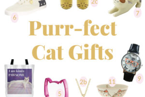 Most Unique Gifts for Cat Lovers