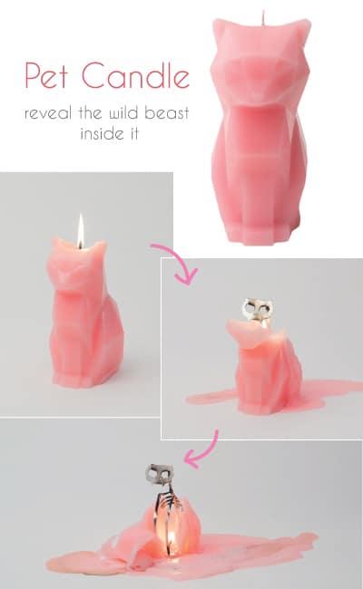 Pet Candle