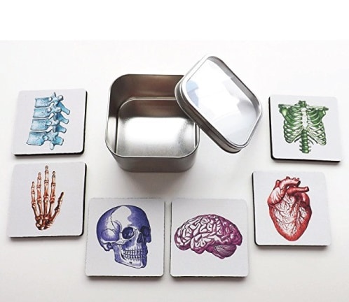 Human Body Anatomy Coaster Set