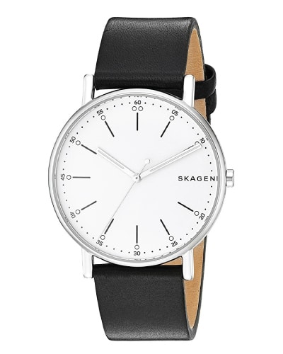 Skagen Men's Signature Watch