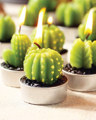 Cactus Candles