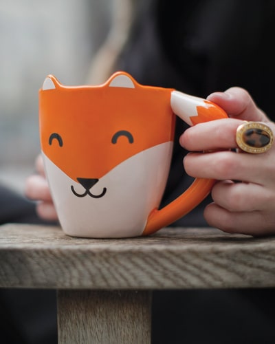 funny fox mug