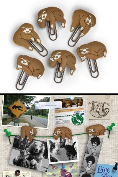 sloths on a vine picture hangers