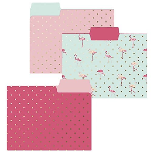 Flamingo Pink Folder Set. Back to school supplies.