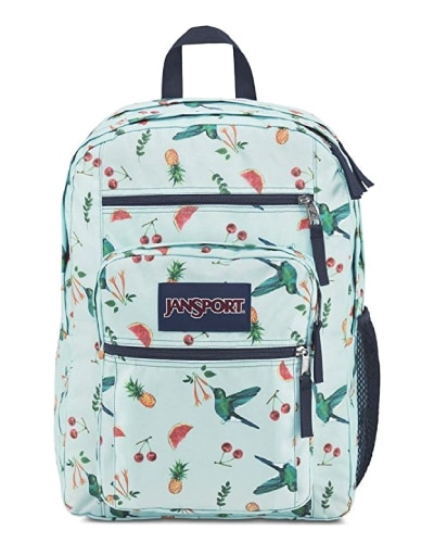 JanSport Sweet Nectar Backpack. Going to college school supplies. Off to college gift ideas for girls.