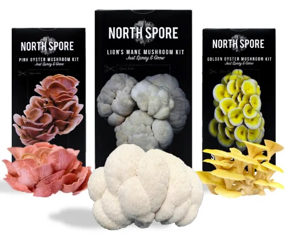 North Spore Spray & Grow Mushroom Growing Kits