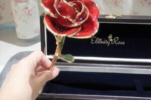 Eternity Rose Review – A Rose that Lasts Forever