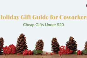 Holiday Gift Guide for Coworkers: Cheap Ideas Under $20