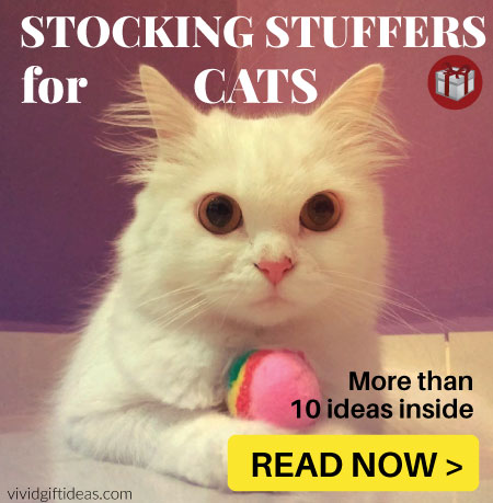 stocking stuffers cat love