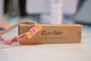 Pettsie Review: Cat Collar and Human Friendship Bracelet