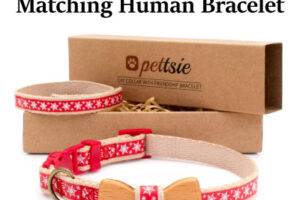 [Giveaway] Pettsie Christmas Cat Collar and Human Friendship Bracelet