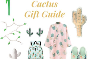 Cactus Gifts: 20 Gift Ideas For Succulent Lovers