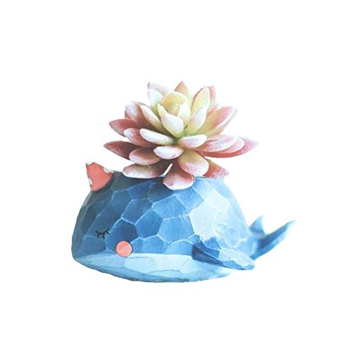 narwhal-gifts Succulent Planter Pot