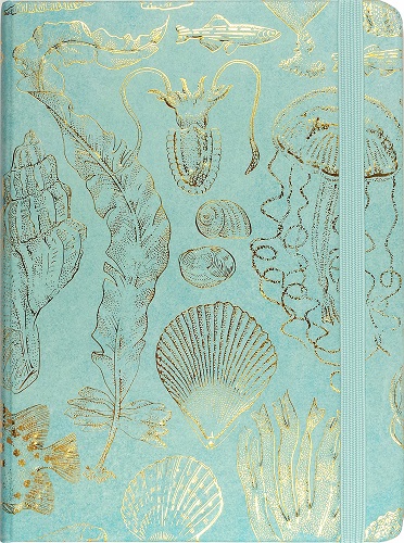 Sealife Sketches Journal 