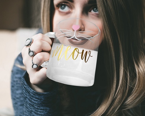 Meow Glass Coffee Mug | Cat Coffee Mugs