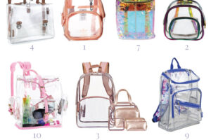 10 Clear Backpacks For School & Travel