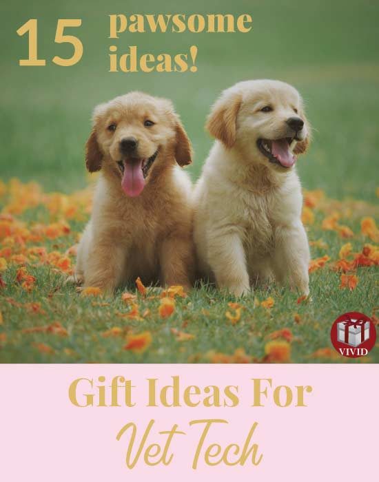 vet tech gift ideas