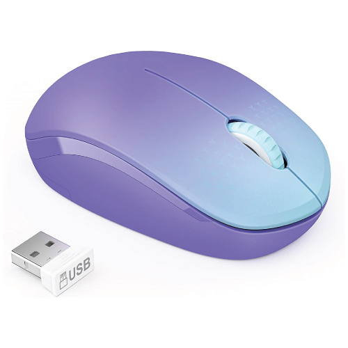 computer Mouse