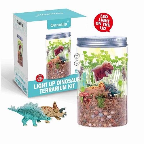 Dinosaur Fairy Garden in a Jar