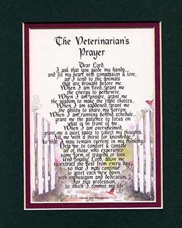 gifts-for-veterinarians-veterinarian-prayer
