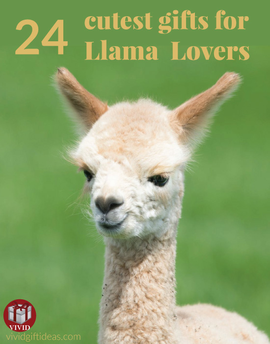 Gifts for Llama Lovers