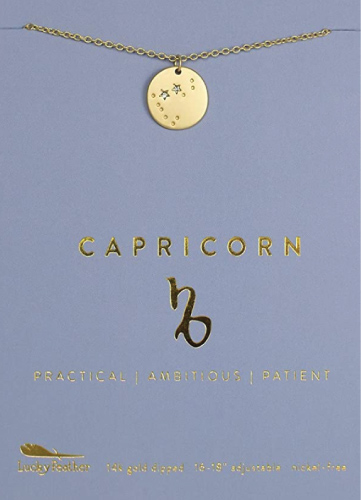 Capricorn Sign Necklace