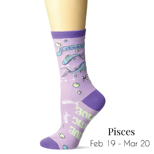 February Birthday Horoscope Socks