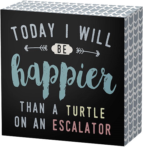 Happy Turtle Sayings Decorative Wooden Box Sign