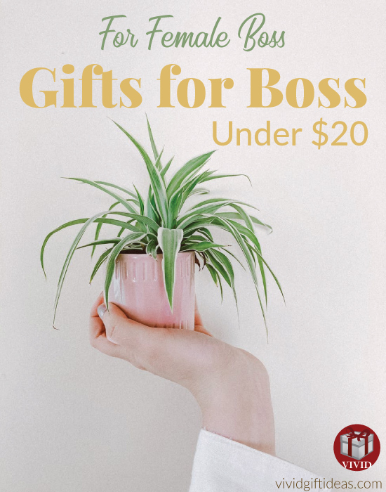 Best Gifts for Boss Under 20