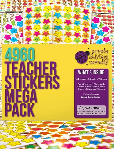 Purple Ladybug Teacher Stickers