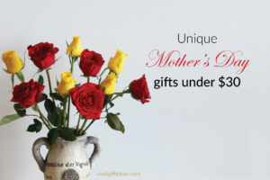 20 Top Mother’s Day Gift Ideas Under $30 in 2023