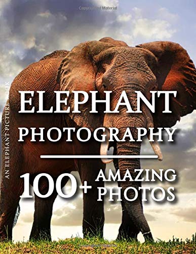 Elephant Picture Book