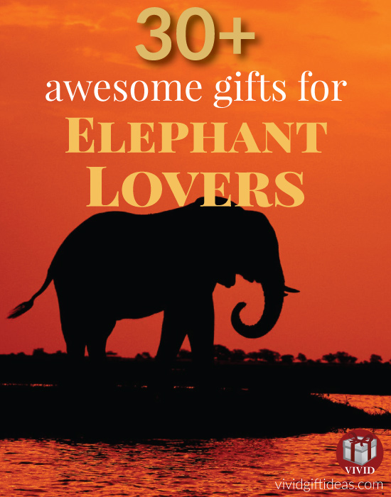 Best Gift Ideas for People Who Loves Elephants