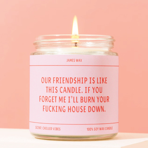 Our Friendship Funny Candle Gift 