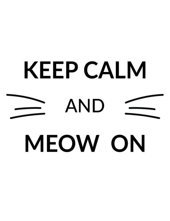 Keep calm and meow on