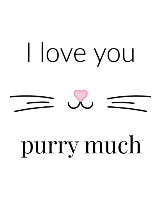 I love you purry much