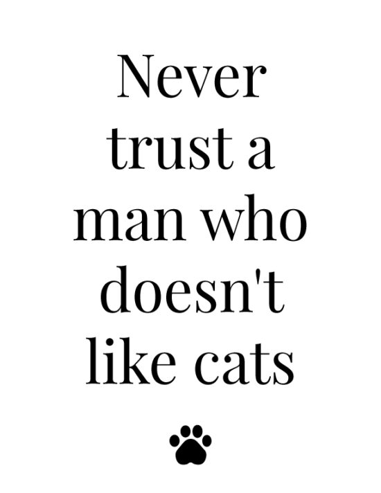 Never trust a man who doesn't like cats